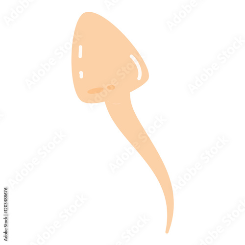Sperm Cells Fertilizing an Egg Cell