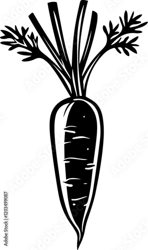 Hand-Drawn Carrot Vector Illustration Vegetables