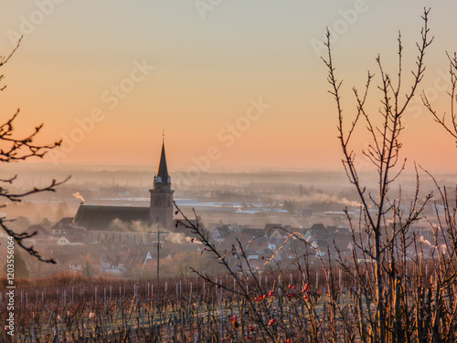 Matin d'hiver à Bergheim : entre vignoble et brumes matinales au lever du soleil, CEA, Alsace, Grand Est, France
