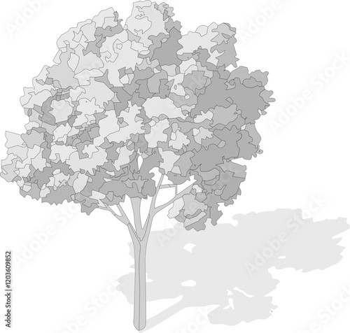 Axonometric tree, isometric vector tree  photo