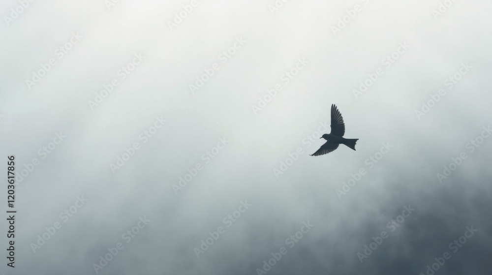 Fototapeta premium A solitary bird silhouetted against a muted, overcast sky, wings spread wide in graceful flight, a minimalist depiction of avian freedom and serene atmospheric conditions.
