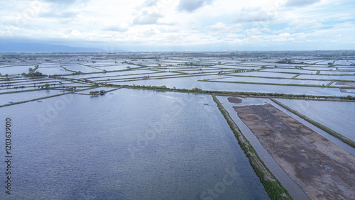 Wallpaper Mural Portrait of the community's pond area near the beach.
January 18 2025
Pinrang, South Sulawesi Indonesia. Torontodigital.ca