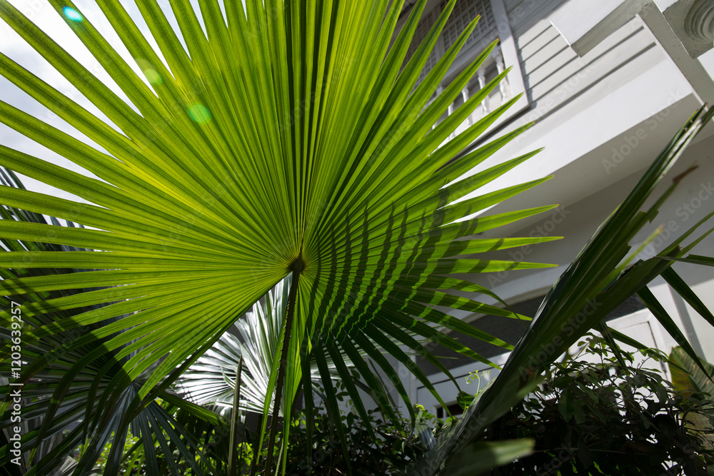 Fototapeta premium Detalle de flores tropicales coloridas