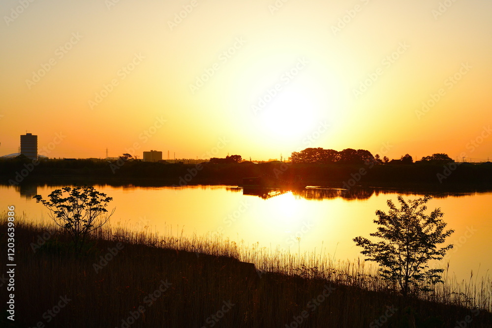 Fototapeta premium 朝の信濃川(新潟県)
