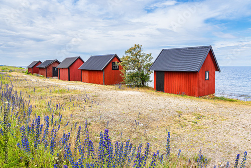 Rote Holzhütten am Geröllfeld Neptuni Åkrar an der Ostseeküste auf der Insel Öland in Schweden photo