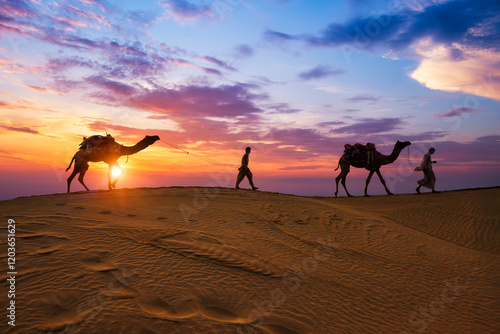 Indian cameleers camel drivers bedouin with camel silhouettes in sand dunes of Thar desert on sunset. Caravan in Rajasthan travel tourism background safari adventure. Jaisalmer, Rajasthan, India photo