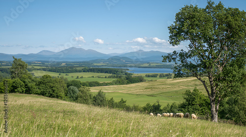 Sheep graze hillside, lake & mountains view, summer pasture, travel brochure photo