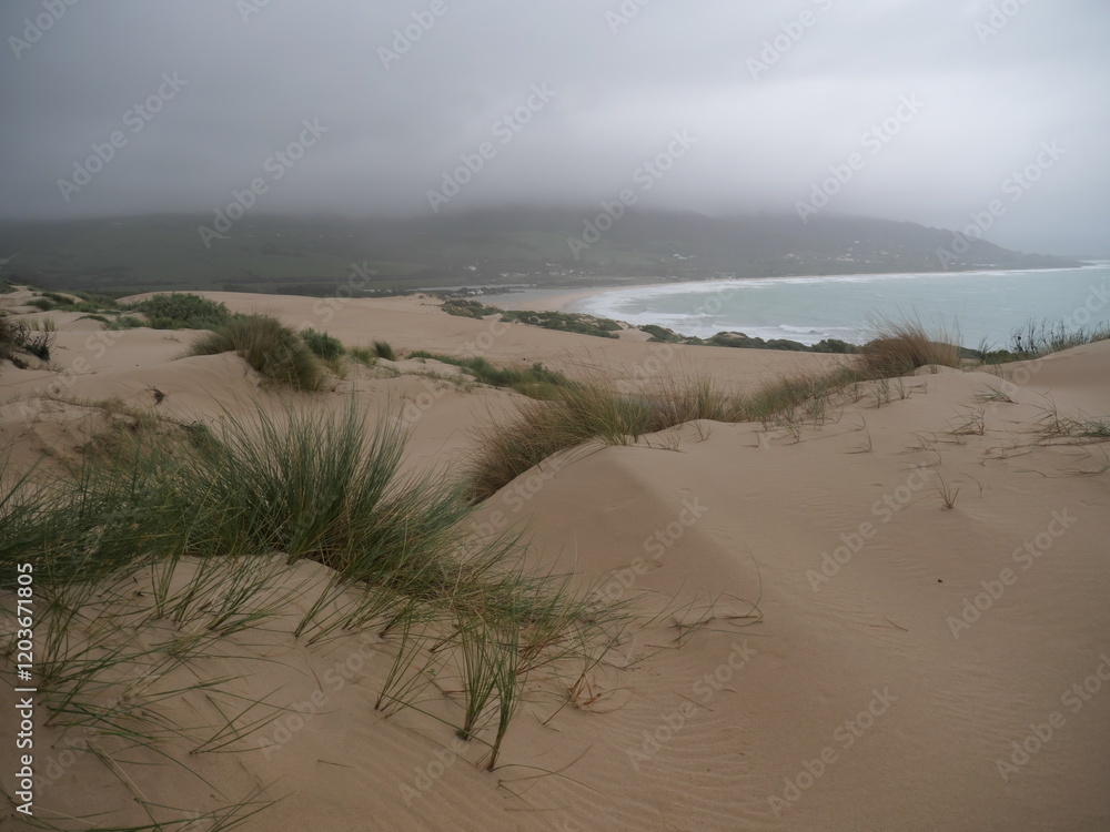 Sanddünenlandschaft aus Treibsand in der Wanderdüne von Duna De Valdevaqueros in der Nähe von Tarifa, Spanien bei schlechtem Wetter Sanddünenlandschaft aus Treibsand in der Wanderdüne von Duna De Valdevaqueros in der Nähe von Tarifa, Spanien bei schlechtem Wetter