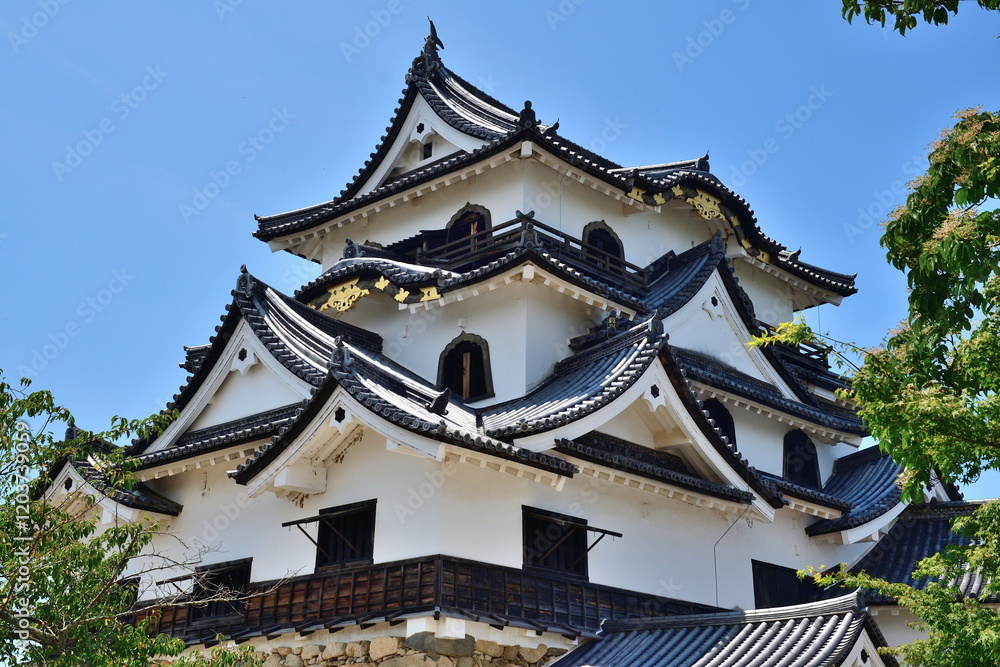 彦根城(滋賀県) 彦根城(滋賀県)