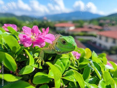 Green iguana resting on all fours photo