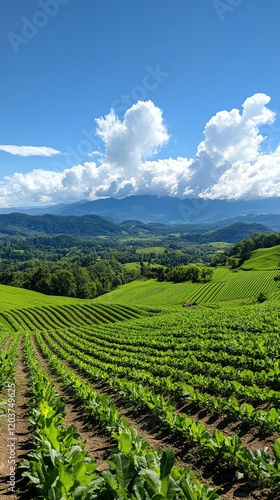 Wallpaper Mural A photography tour on an ecofarm, capturing scenic landscapes, wildlife, and sustainable farming activities Torontodigital.ca