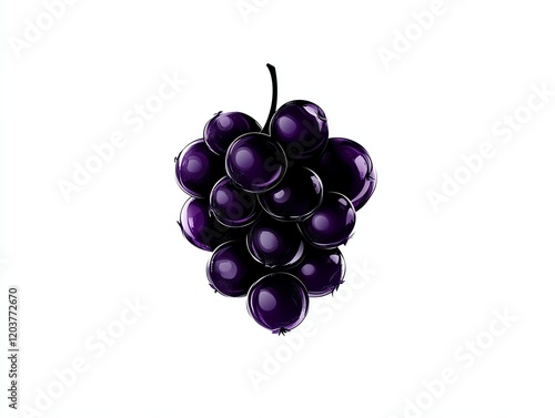 A blackcurrant clipart, berry cluster, handdrawn style, deep purple, isolated on white background photo