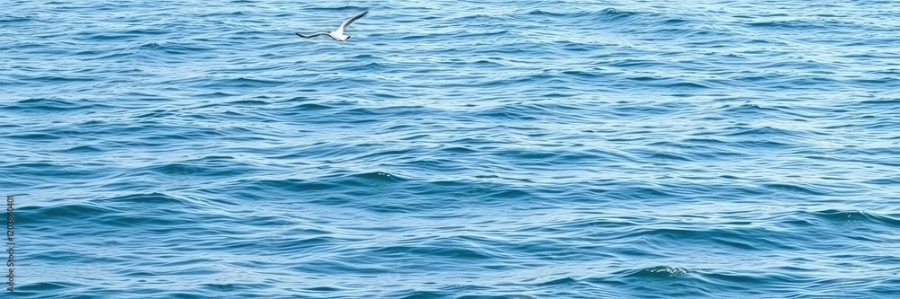 Calm ocean with gentle waves and seagulls, wave patterns, oceanic views Calm ocean with gentle waves and seagulls, wave patterns, oceanic views