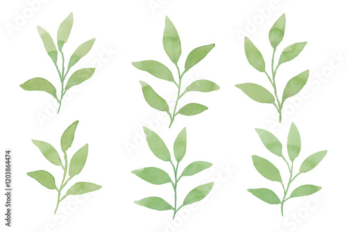 Assortment of watercolor leaves illustration set - green leaf branches collection for wedding, greetings, stationary, wallpapers, fashion, background. olive, green leaves, Eucalyptus etc