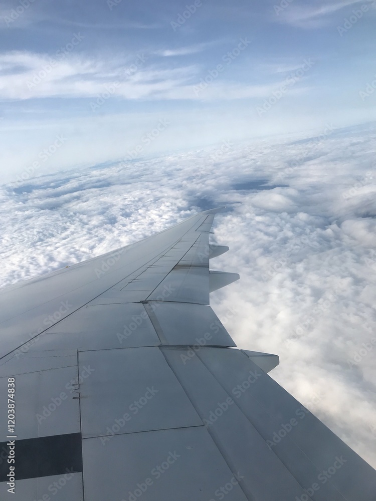 飛行機からの景色 飛行機の翼 飛行機からの景色 飛行機の翼
