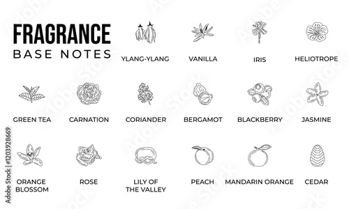 Vector set line icon aromatic notes perfume