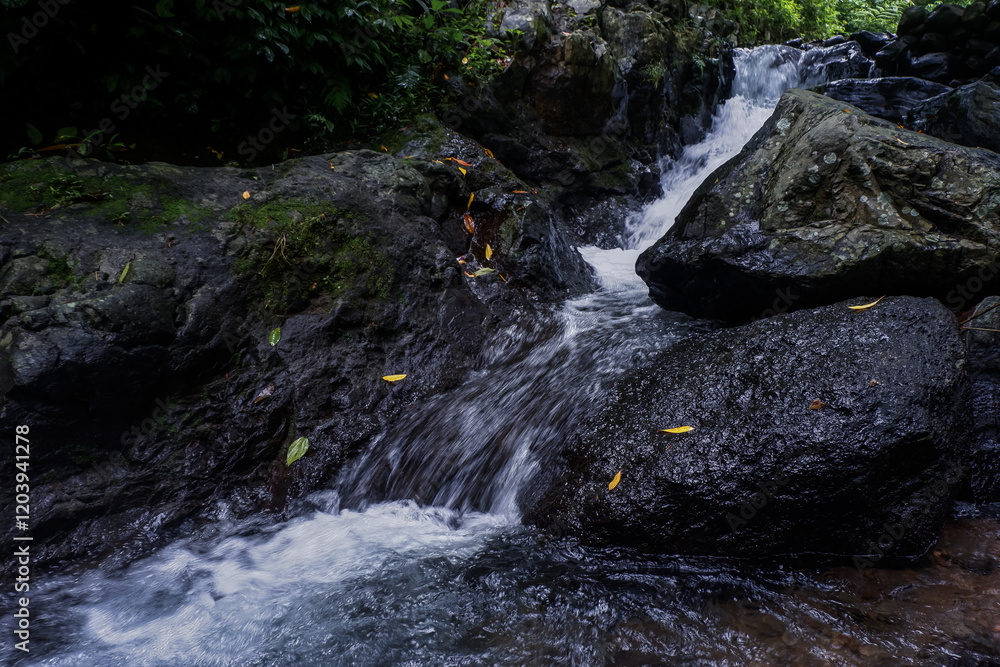 river flowing with clear water in the mountains. river flowing with clear water in the mountains.