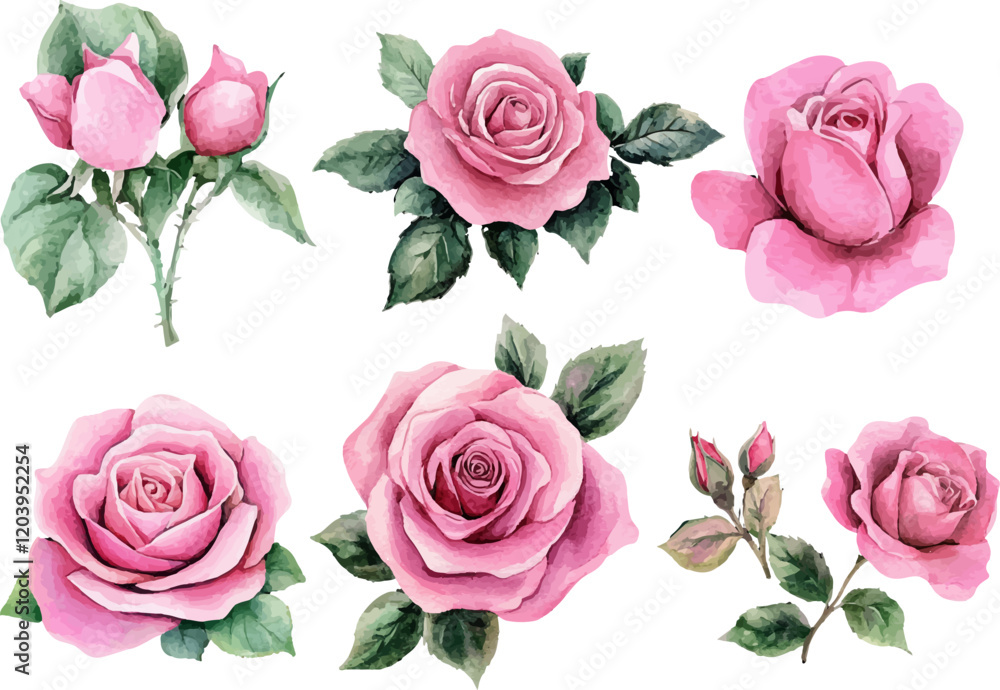 set of pink roses vector set of pink roses vector