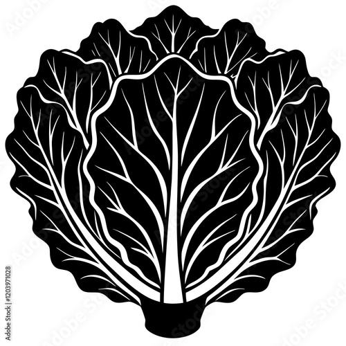silhouette of a Napa Cabbage