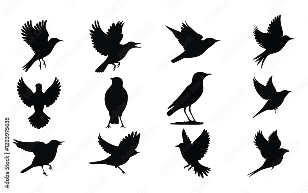 Obraz premium Bird Silhouettes Collection