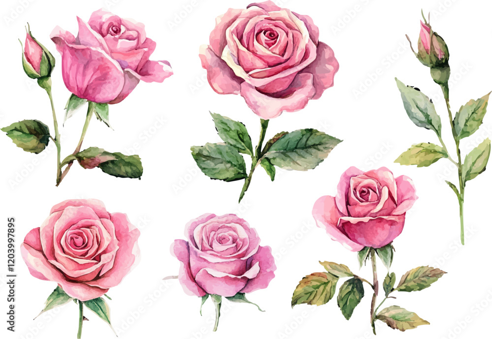 Naklejka premium bouquet of roses