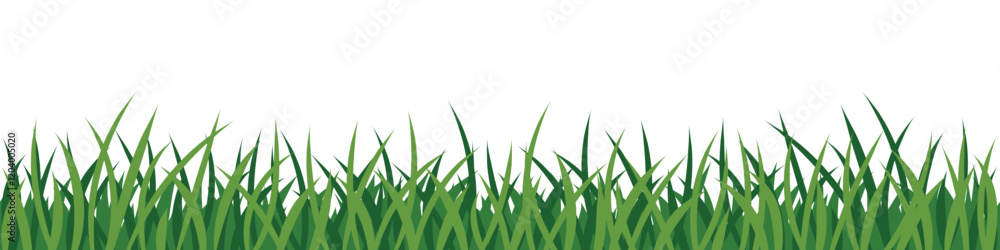 Drawn grass isolated on white background, seamless border, vector design Drawn grass isolated on white background, seamless border, vector design