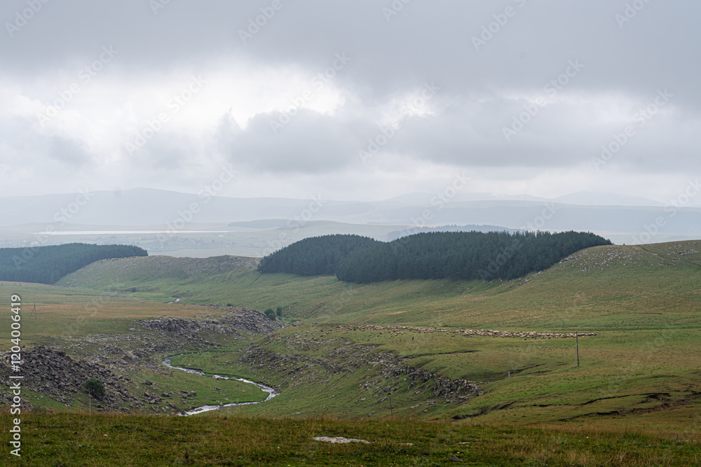 Naklejka premium River in canyon Tedjisi in Georgia
