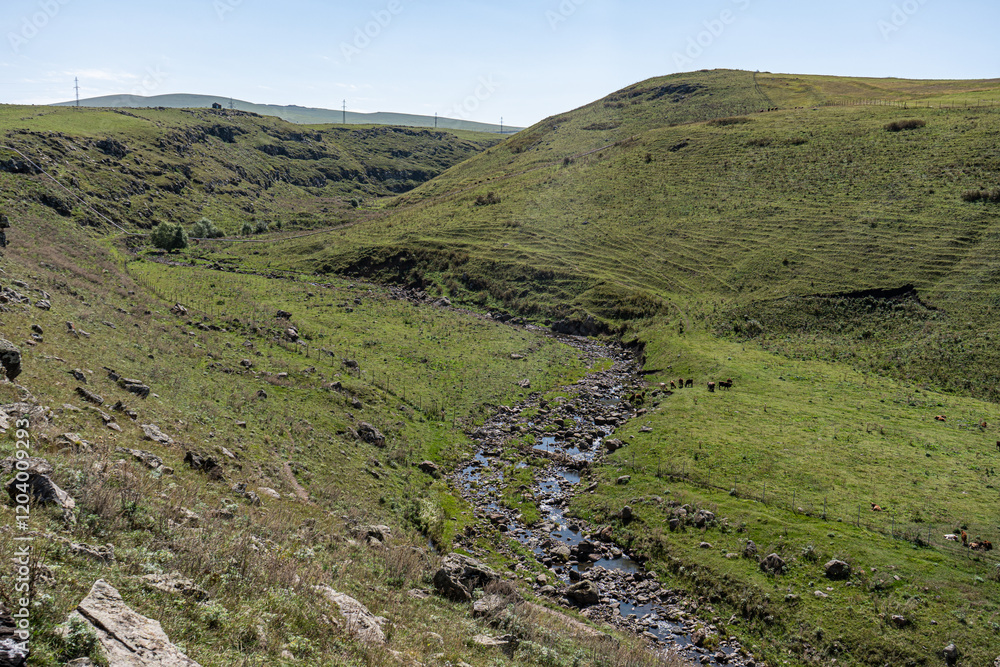 Fototapeta premium Rural landscape with canyon and river