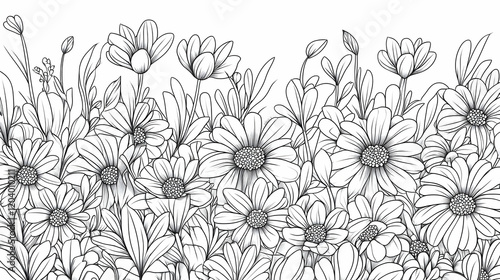 Monochrome daisy field border illustration, perfect for spring or summer designs