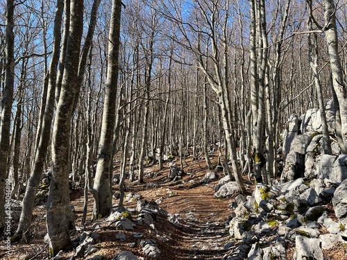 Premuzic hiking trail or Premuzic Trail - Velebit Nature Park, Croatia or Premuzic-Wanderweg or Premuzic's Trail (Pješački planinarski put Premužićeva staza - Park prirode Velebit, Hrvatska) photo