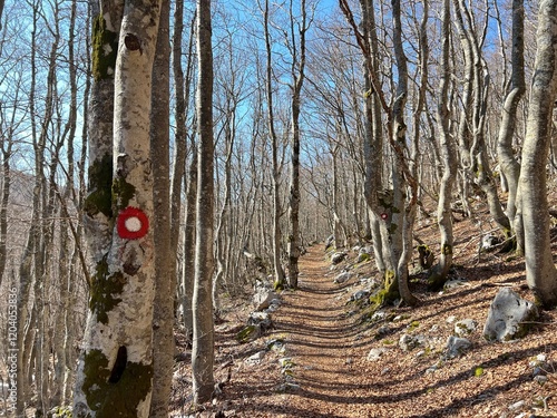 Premuzic hiking trail or Premuzic Trail - Velebit Nature Park, Croatia or Premuzic-Wanderweg or Premuzic's Trail (Pješački planinarski put Premužićeva staza - Park prirode Velebit, Hrvatska) photo