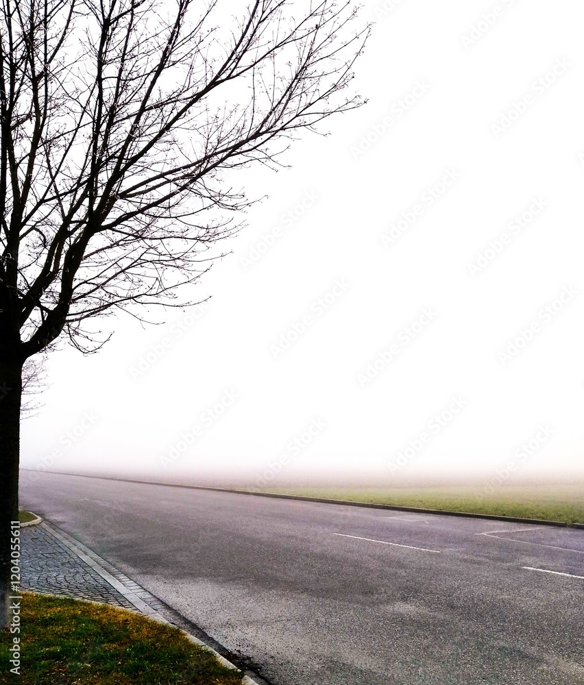 Fototapeta premium Nebel