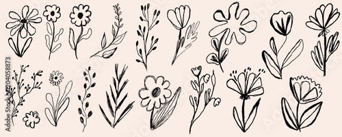  vector set of doodle hand drawn flowers. . Vector illustration