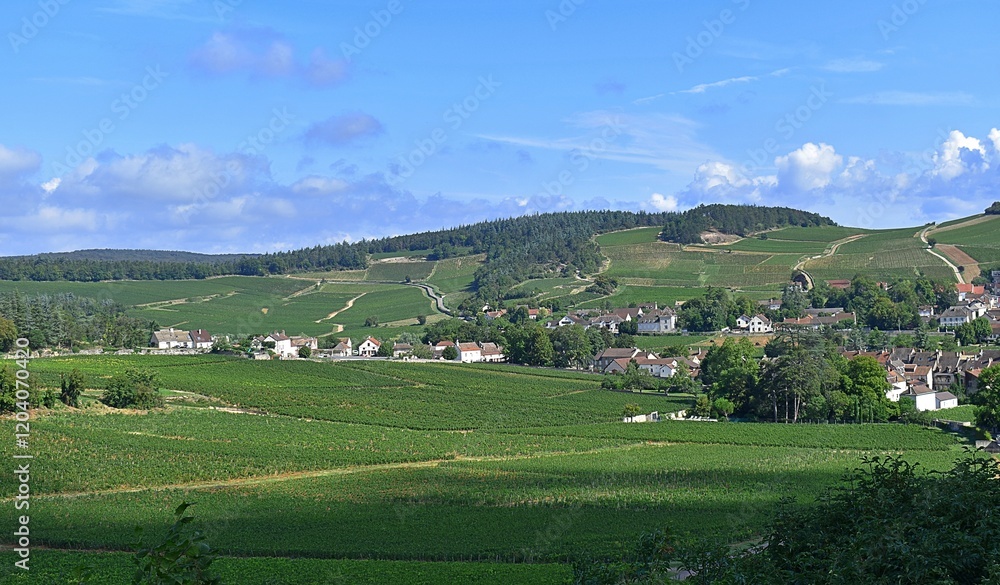 Paysage de village viticole bourguignon. Mercurey, Côte chalonnaise, France Paysage de village viticole bourguignon. Mercurey, Côte chalonnaise, France