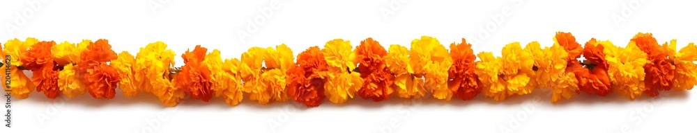 Marigold flower garland for Indian festivals on a white background Marigold flower garland for Indian festivals on a white background