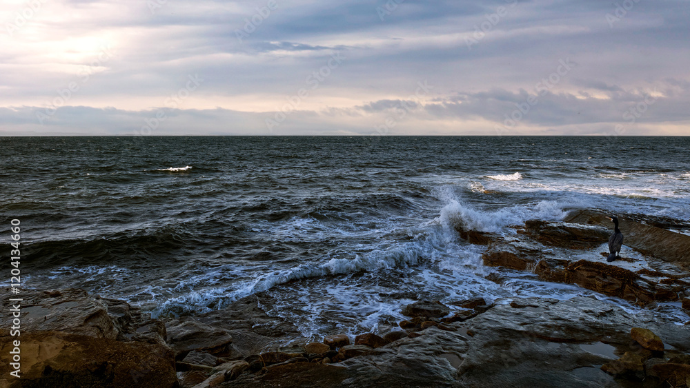The serene beauty of the Moray Firth's rocky coastline in Scotland The serene beauty of the Moray Firth's rocky coastline in Scotland