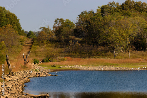 Vászonkép Sequoyah State Park in Hulbert, OK that sits along the shores of Fort Gibson Lake