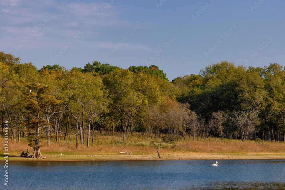 Sequoyah State Park in Hulbert, OK that sits along the shores of Fort Gibson Lake. Sequoyah State Park in Hulbert, OK that sits along the shores of Fort Gibson Lake.