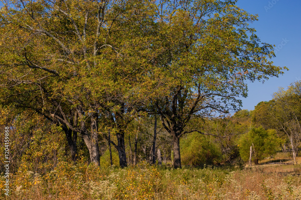 Sequoyah State Park in Hulbert, OK that sits along the shores of Fort Gibson Lake. Sequoyah State Park in Hulbert, OK that sits along the shores of Fort Gibson Lake.