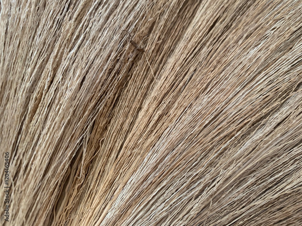 brown gold Broom, dry straw texture strip line gradient background brown gold Broom, dry straw texture strip line gradient background