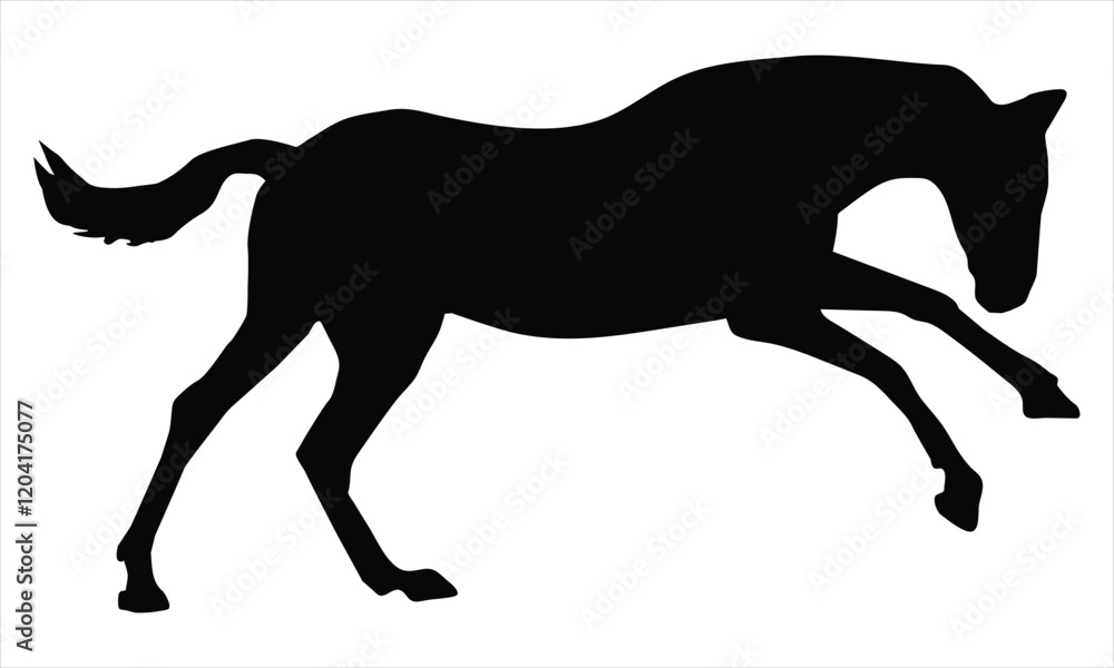Obraz premium horse silhouette vector