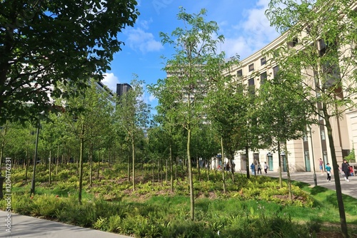 Panorama sur les arbres de la forêt urbaine de la place de Catalogne, îlot de verdure en centre ville, dans le quartier Montparnasse à Paris, en été (France)