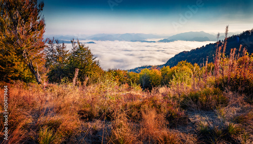 Extraordinary autumn view of Borzhava mountain range with thre sea of fog. Spectacular morning scene of Carpathian mountains, Ukraine, Europe. Beauty of nature concept background.