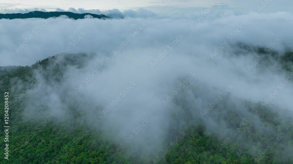Aerial view of a beautiful landscape in northern Thailand, captured in a 4K hyperlapse video featuring white fog or clouds moving over the green forest below.
