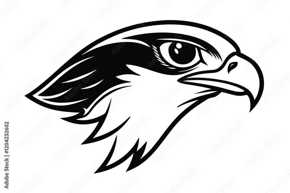 Obraz premium head of eagle