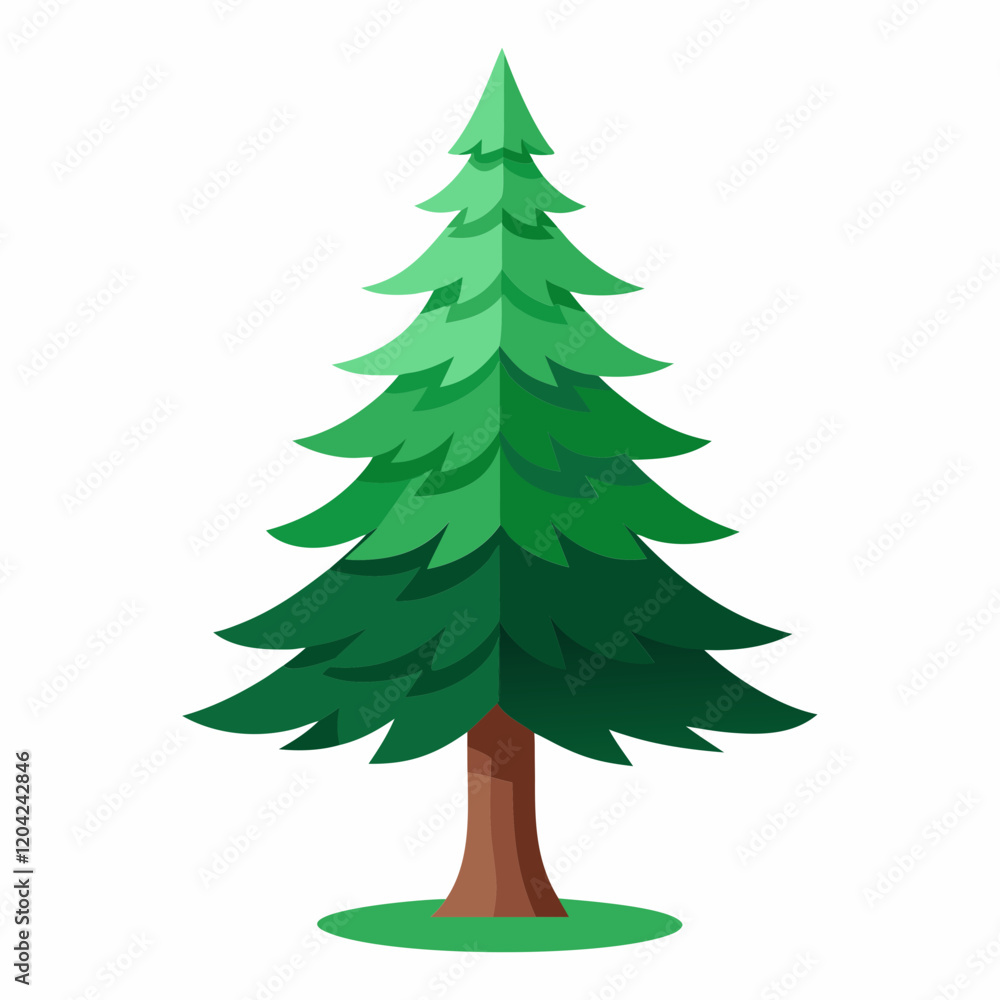 christmas tree isolated on white christmas tree isolated on white