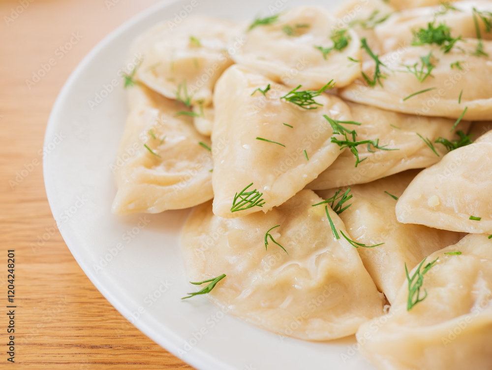 Vegetable dumplings gyoza with dill on white plate