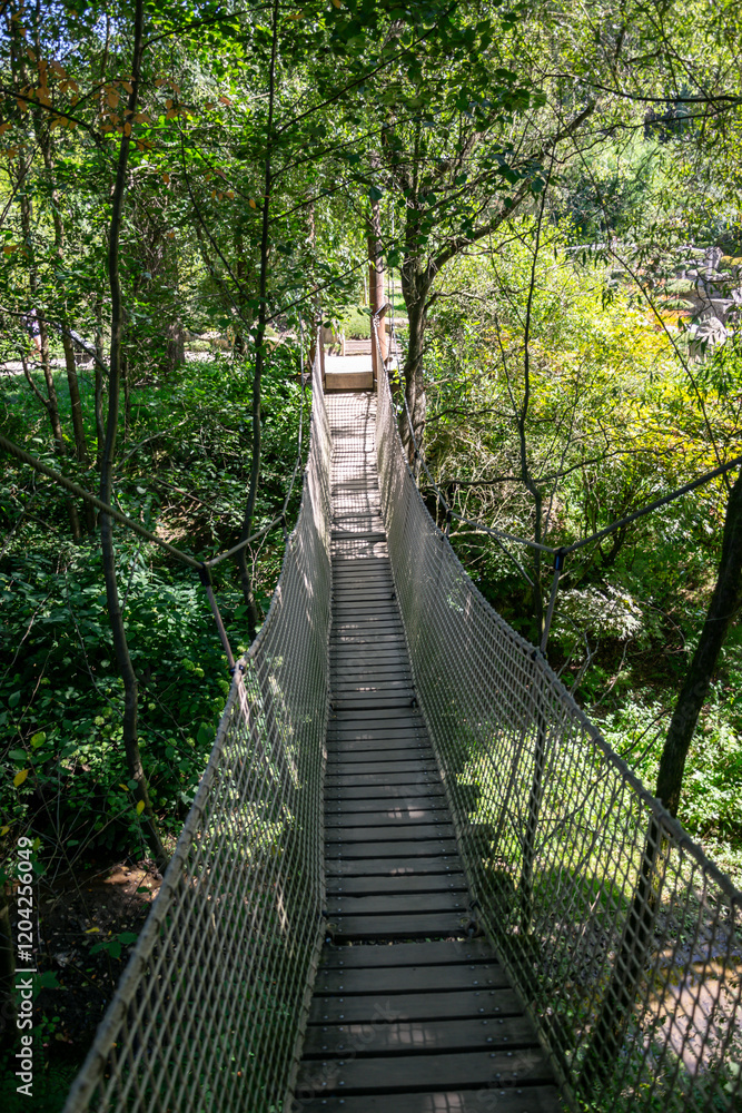 Obraz premium Rope bridge in the jungle, suspended from trees among dense vegetation. Footbridge on a hiking trail in the forest in a tropical area.