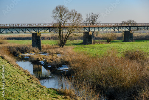 Am Donau-Altarm bei Bogen/Niederbayern photo