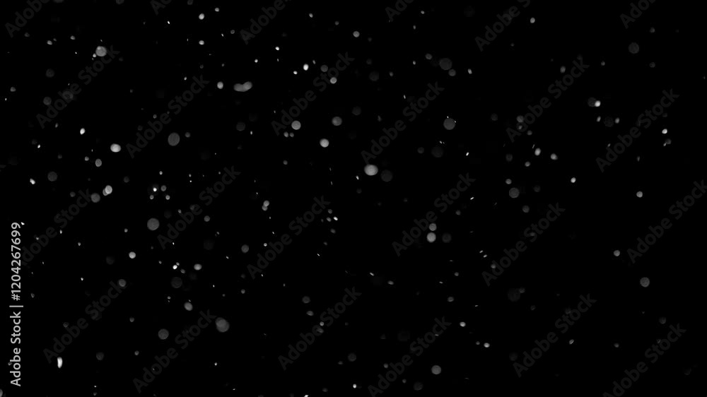 Natural Organic Dust Particles Floating On Black Background. Glittering Sparkling Particles Randomly Spin In The Air With Bokeh. Dynamic Particles With Fast And Slow Motion. Shimmering Dust In Space. Natural Organic Dust Particles Floating On Black Background. Glittering Sparkling Particles Randomly Spin In The Air With Bokeh. Dynamic Particles With Fast And Slow Motion. Shimmering Dust In Space.